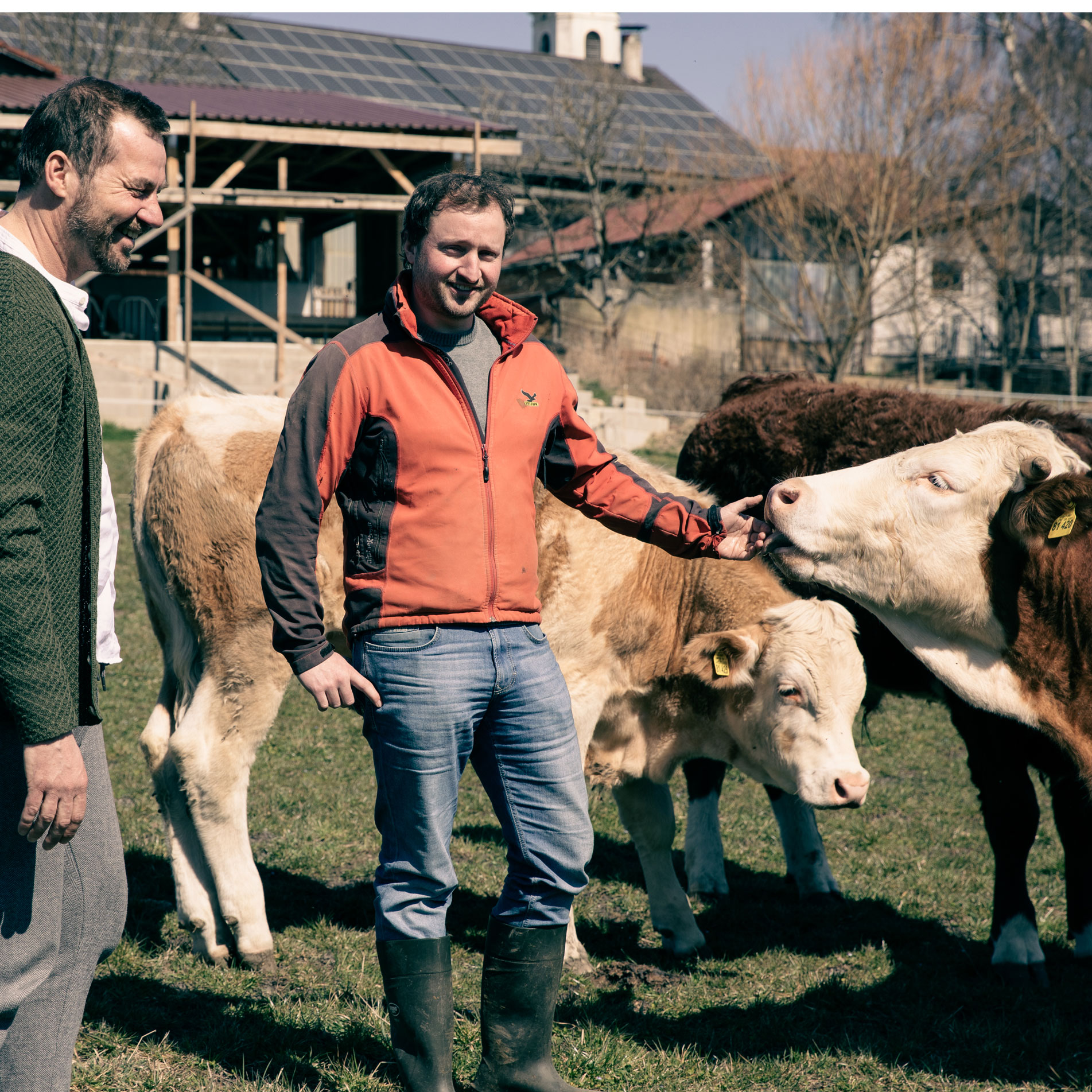 Alexander Tremmel und der Besitzer des Hofes stehen mit Rindern auf einer Wiese und streicheln diese.